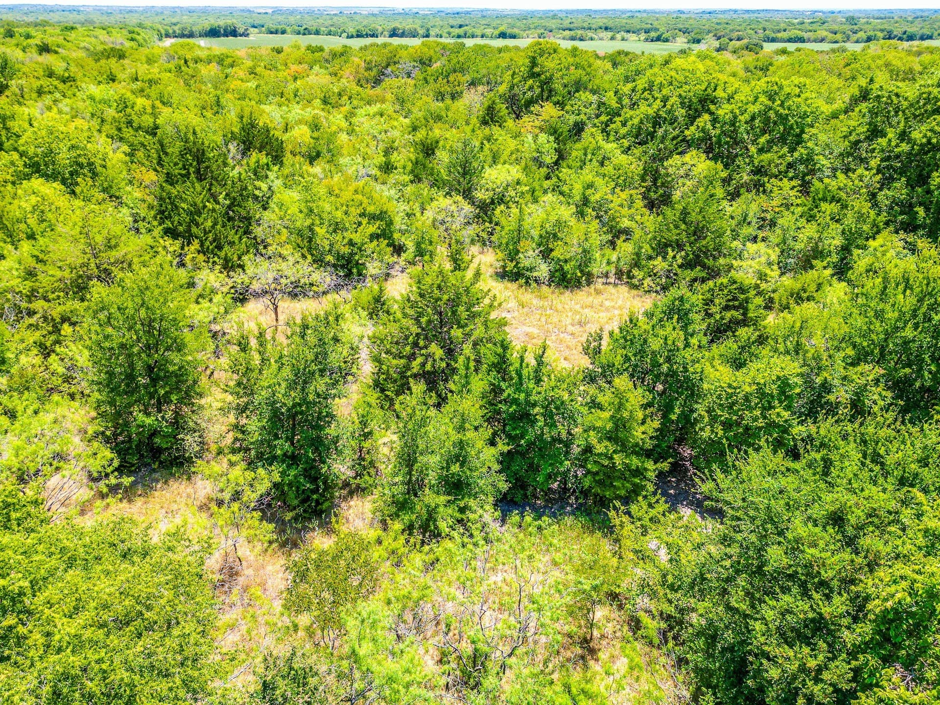 100.56 acres in Hill County - photo 40
