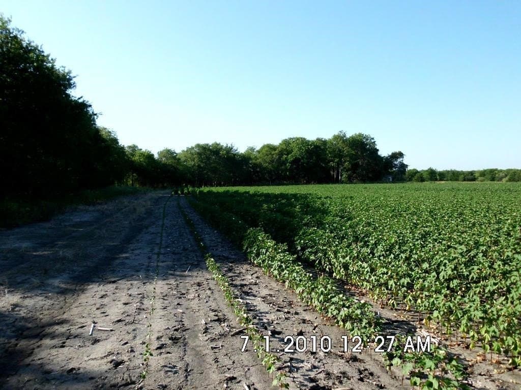 100.56 acres in Hill County - photo 6