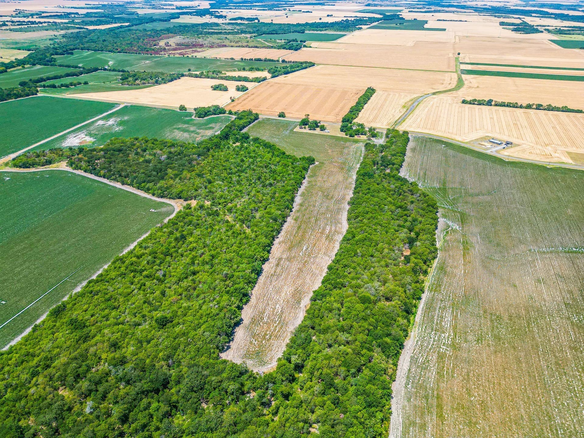 100.56 acres in Hill County - photo 23