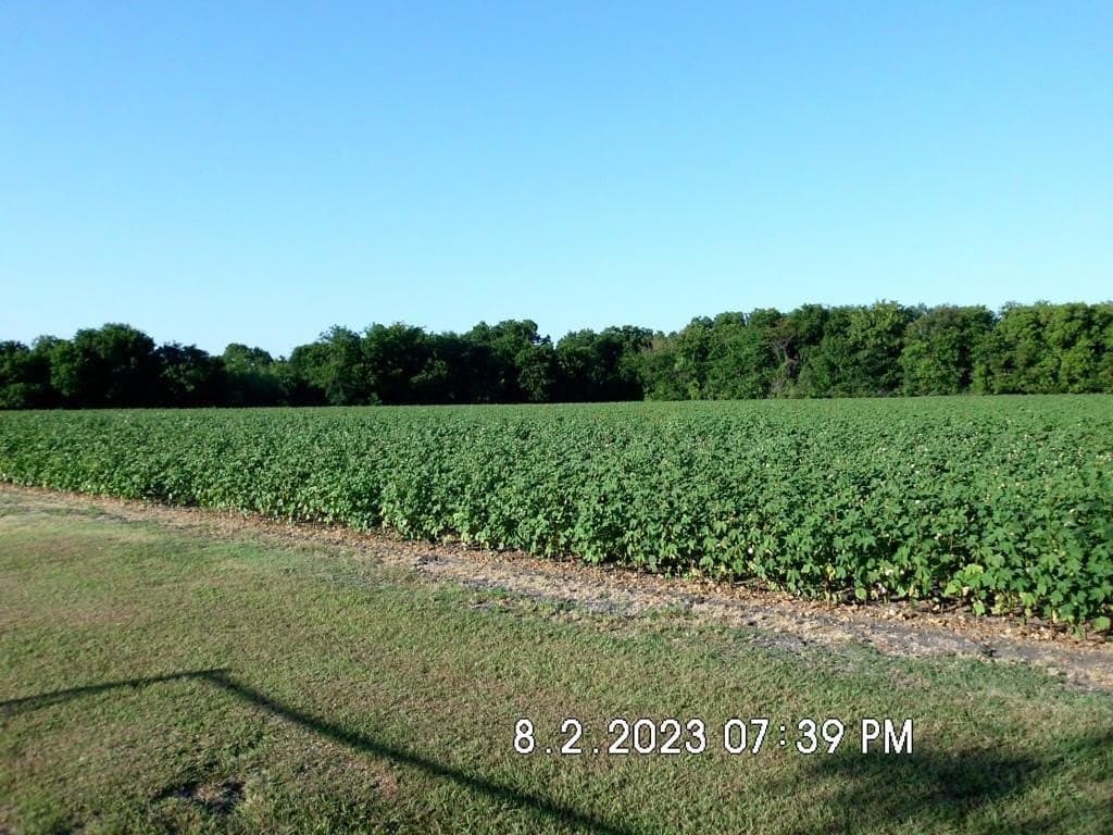 100.56 acres in Hill County - photo 2