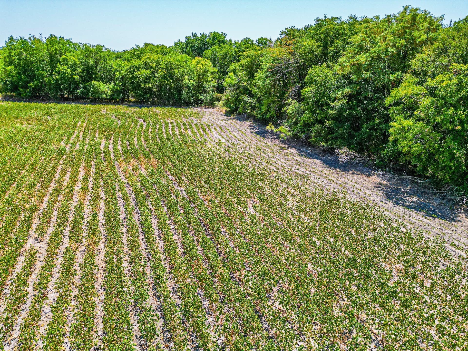 100.56 acres in Hill County - photo 39