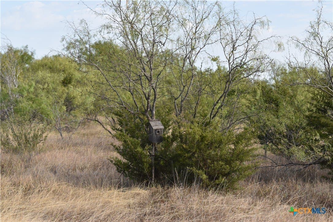 36 acres in Lampasas County - photo 8