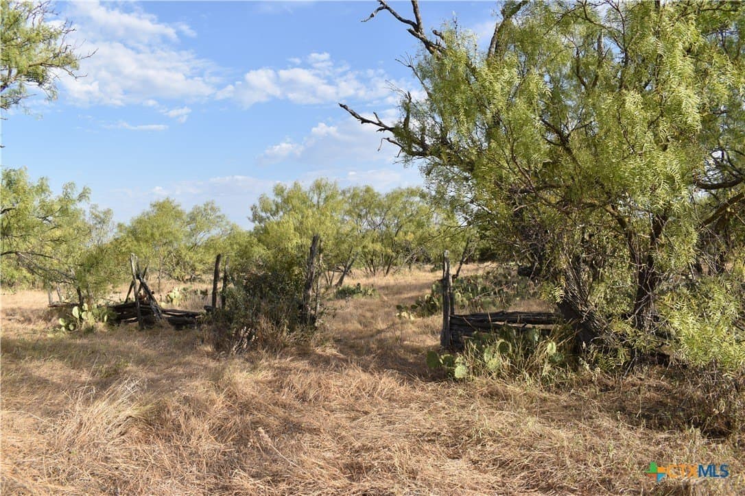 36 acres in Lampasas County - photo 13