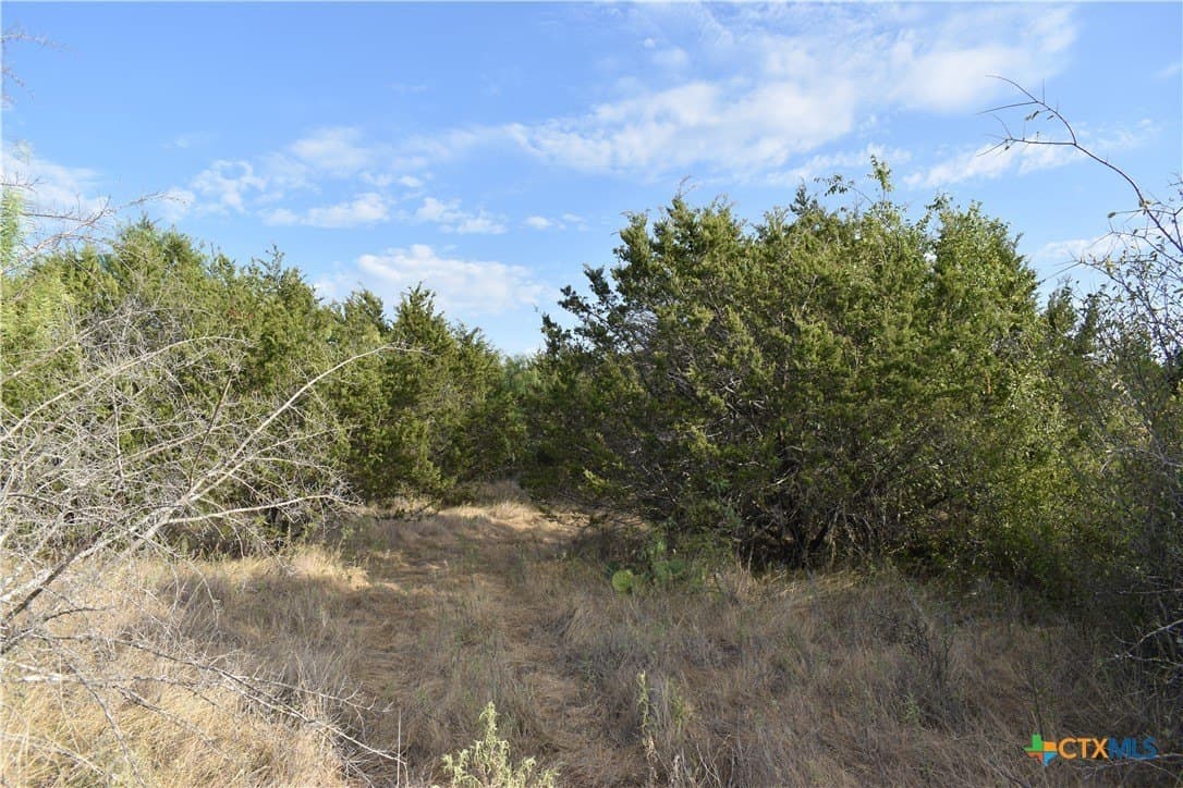 36 acres in Lampasas County - photo 14