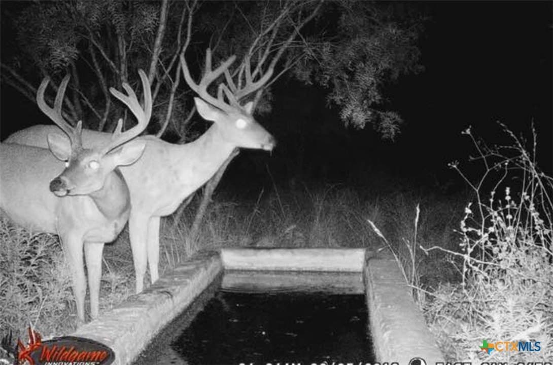 36 acres in Lampasas County - photo 4