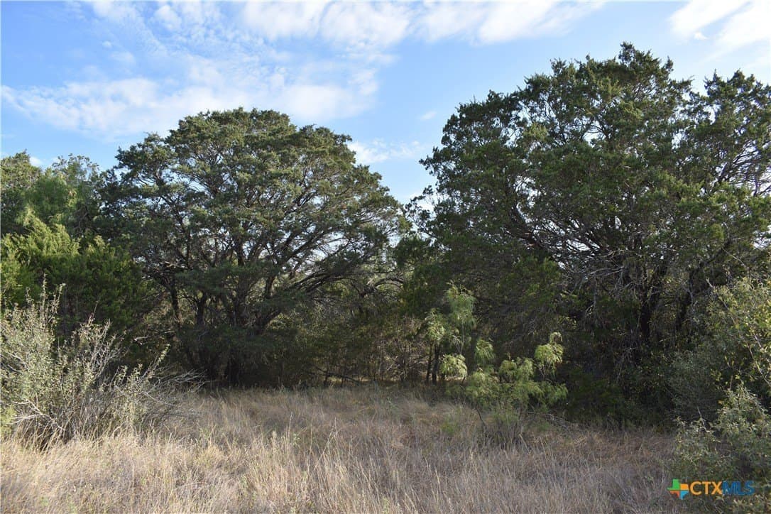 36 acres in Lampasas County - photo 16