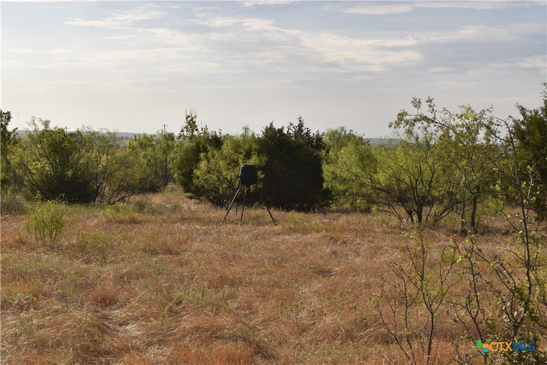 36 acres in Lampasas County - photo 18