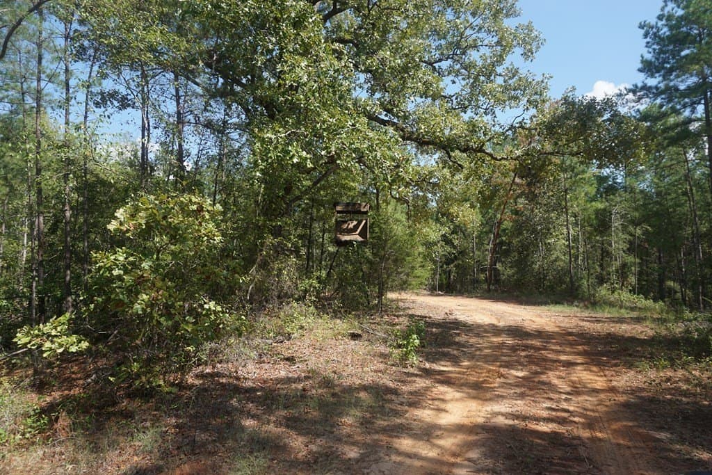 25.84 acres in ANDERSON County gallery image 4