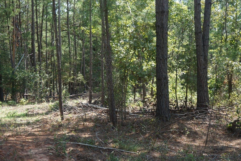 25.84 acres in ANDERSON County featured view