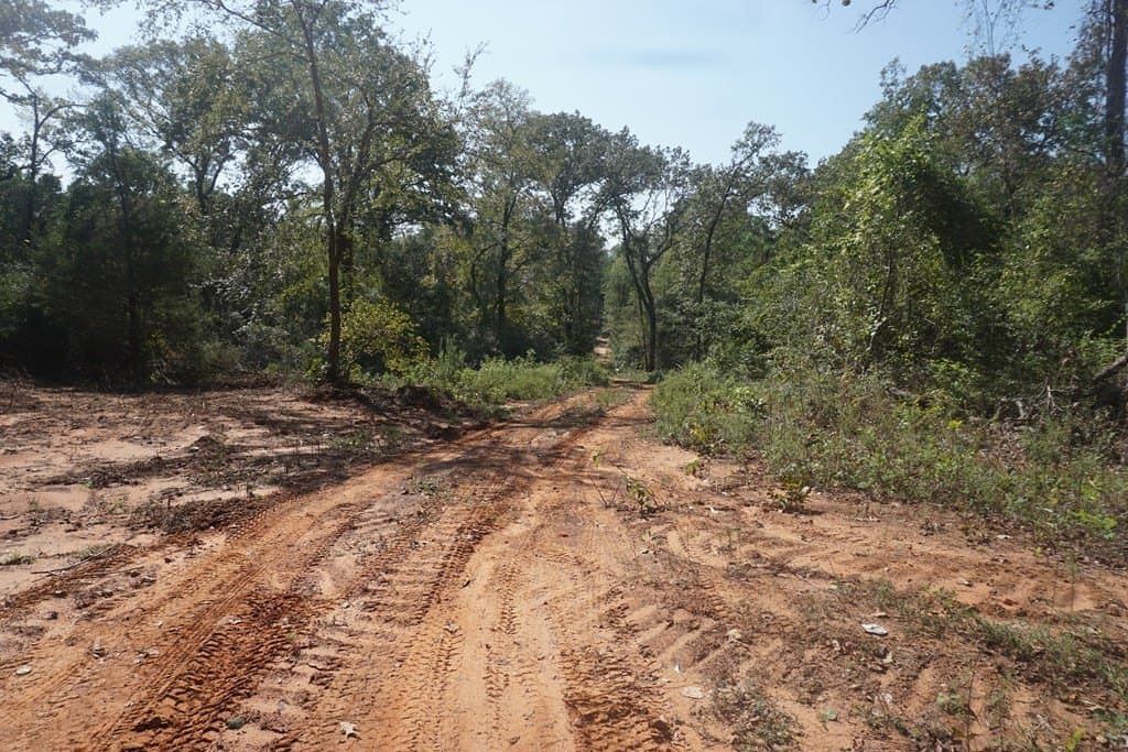 25.84 acres in ANDERSON County gallery image 3