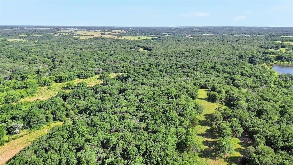 185.12 acres in Grayson County gallery image 4