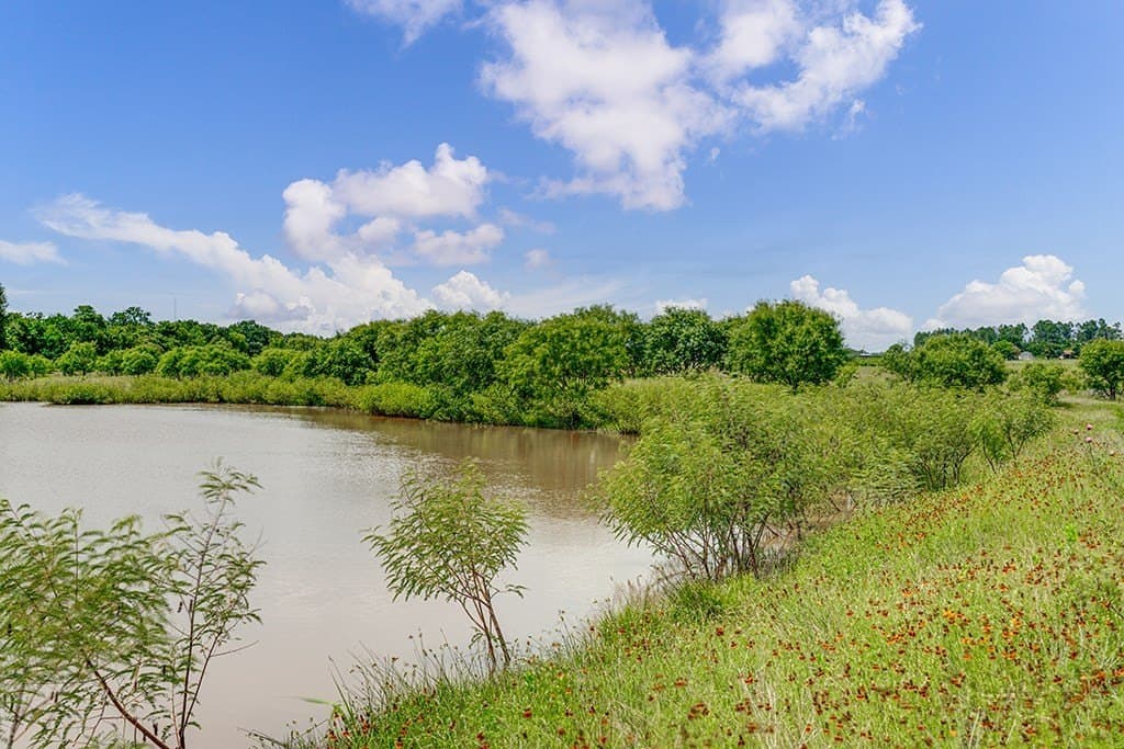 23.88 acres in Gillespie County - photo 41