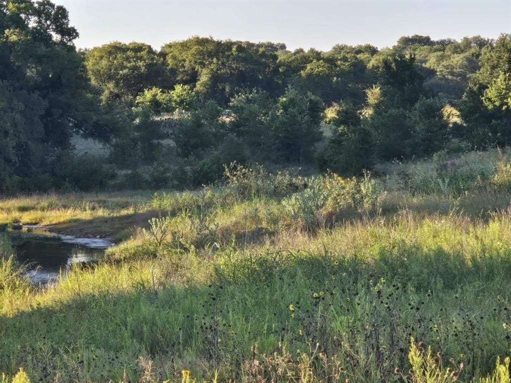 5.92 acres in Coryell County gallery image 2