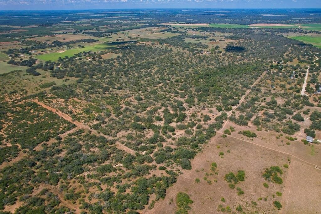 87.39 acres in Atascosa County gallery image 3