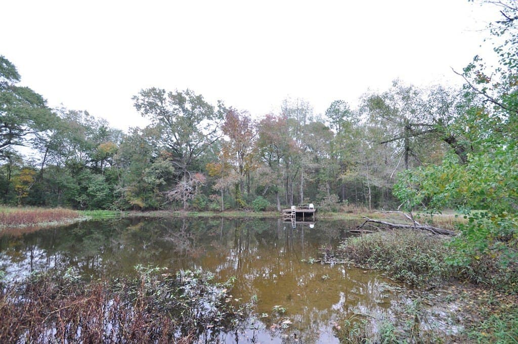 94.69 acres in Texas County - photo 8