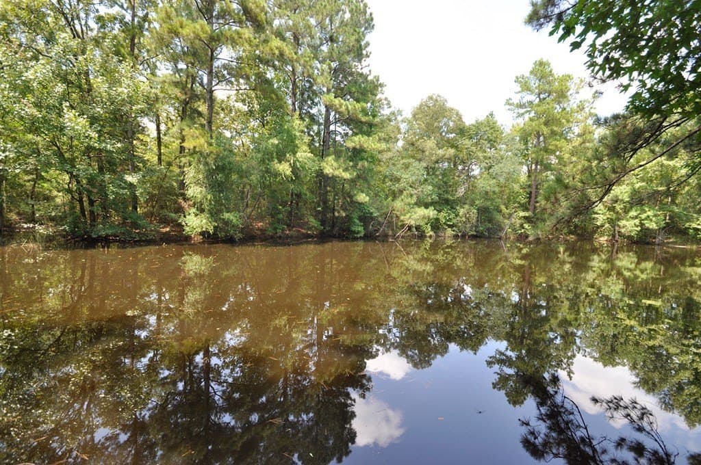 94.69 acres in Texas County - photo 21