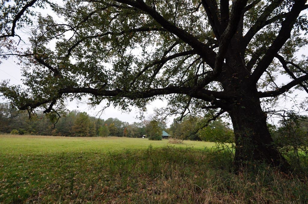 94.69 acres in Texas County - photo 17
