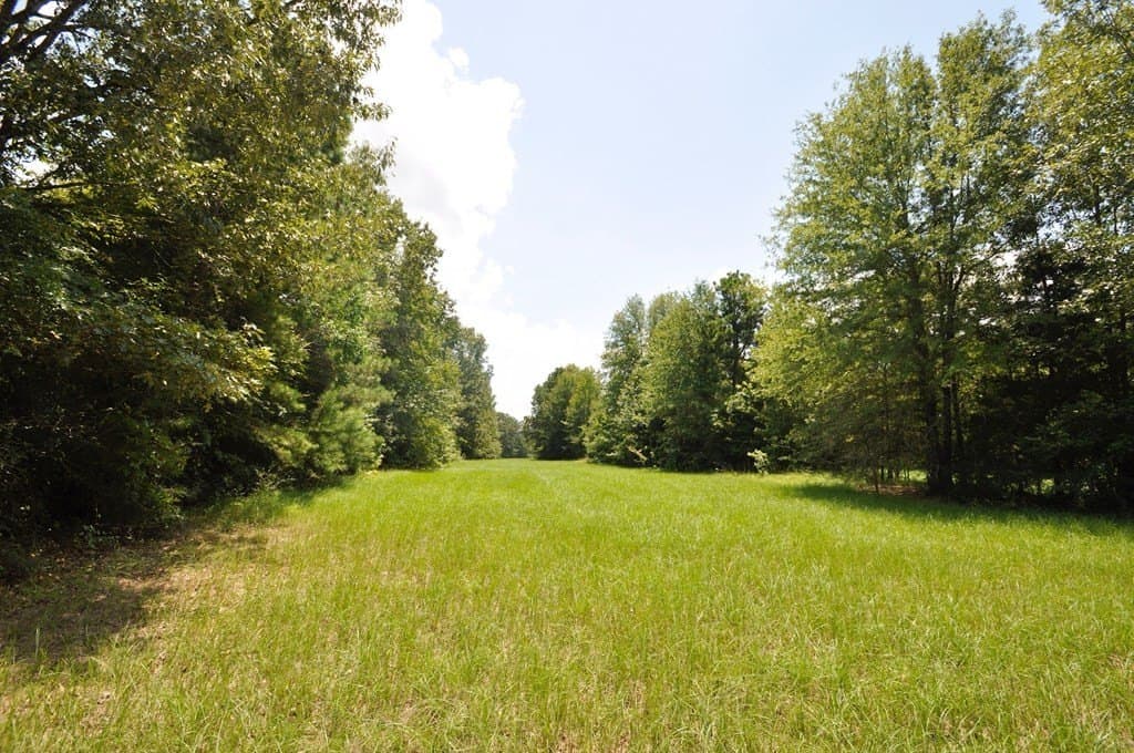 94.69 acres in Texas County - photo 6