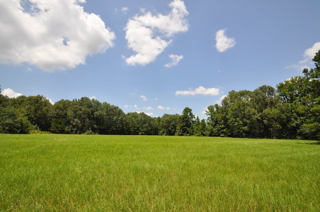 94.69 acres in Texas County - photo 19