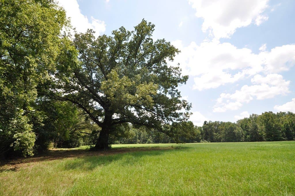 94.69 acres in Texas County - photo 18