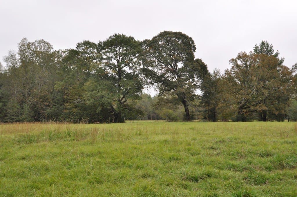 94.69 acres in Texas County - photo 10