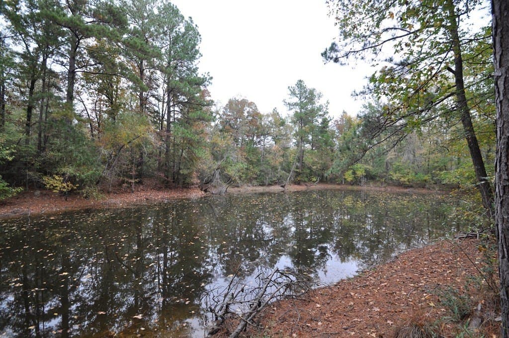 94.69 acres in Texas County - photo 16
