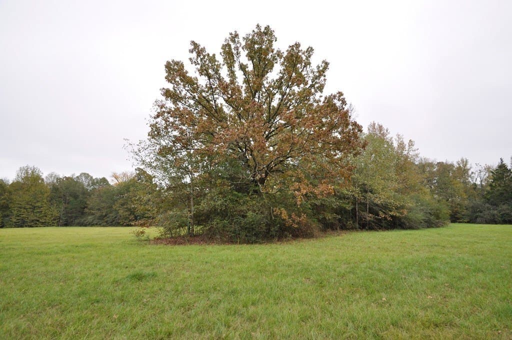 94.69 acres in Texas County - photo 4