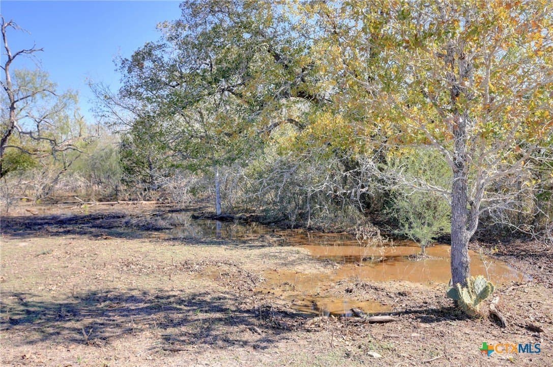 29.15 acres in Fayette County - photo 34