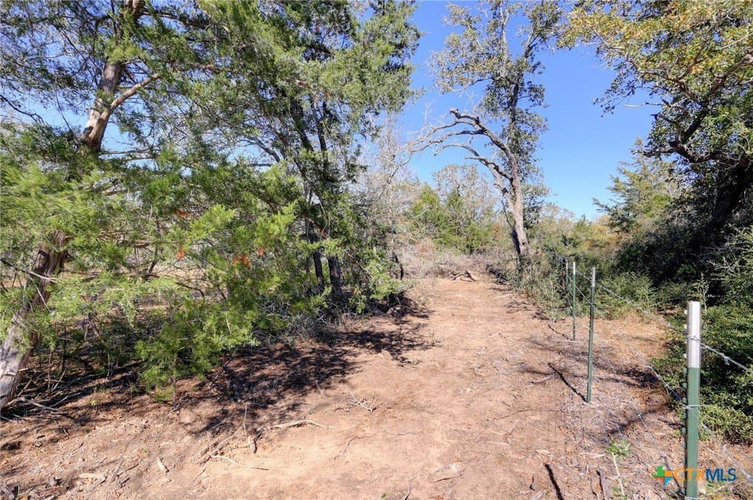 29.15 acres in Fayette County - photo 11