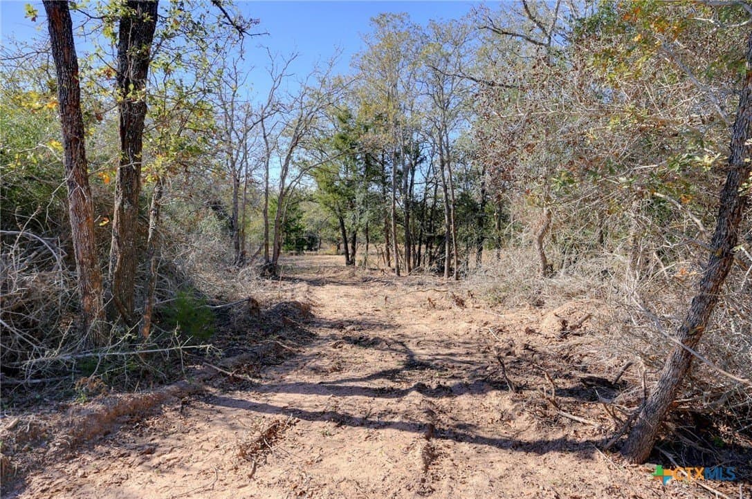 29.15 acres in Fayette County - photo 12
