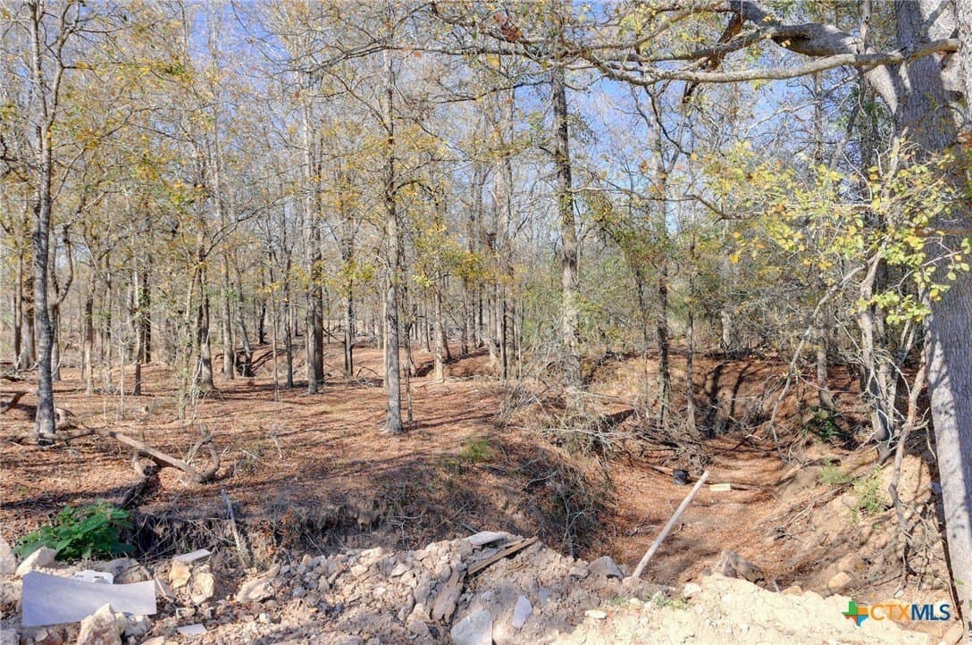 29.15 acres in Fayette County - photo 7