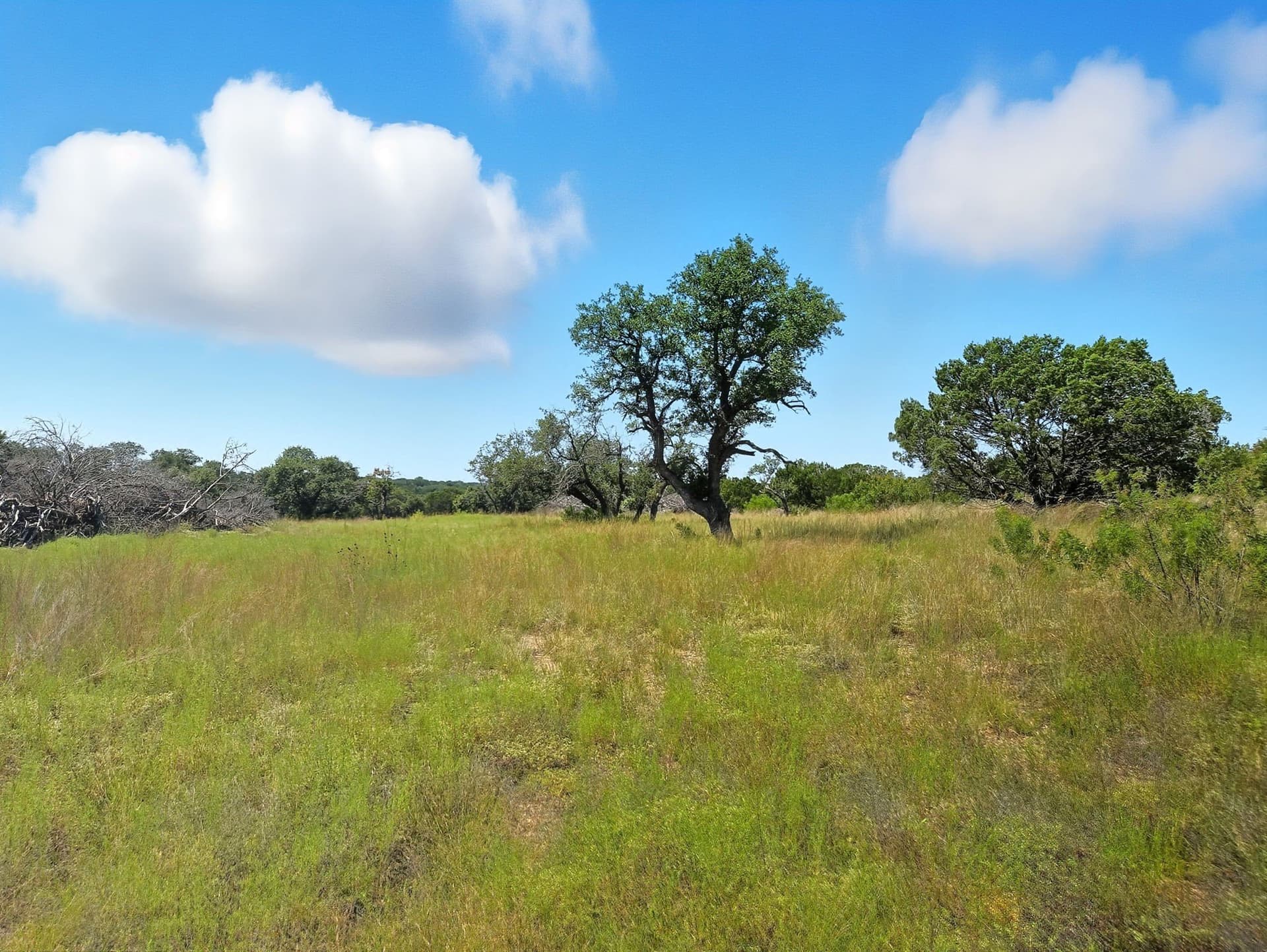 10.01 acres in Hamilton County - photo 5