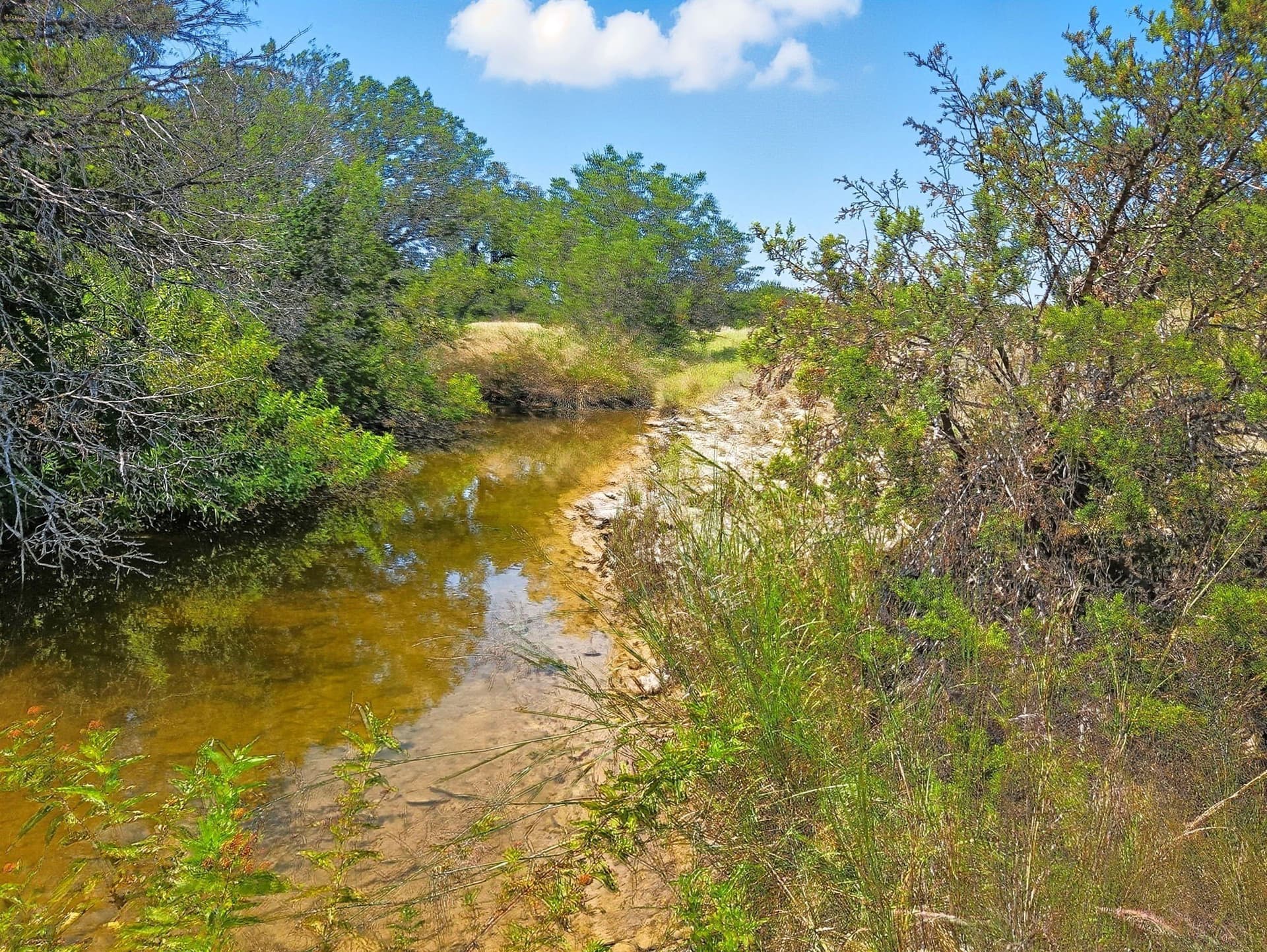 10.01 acres in Hamilton County - photo 13