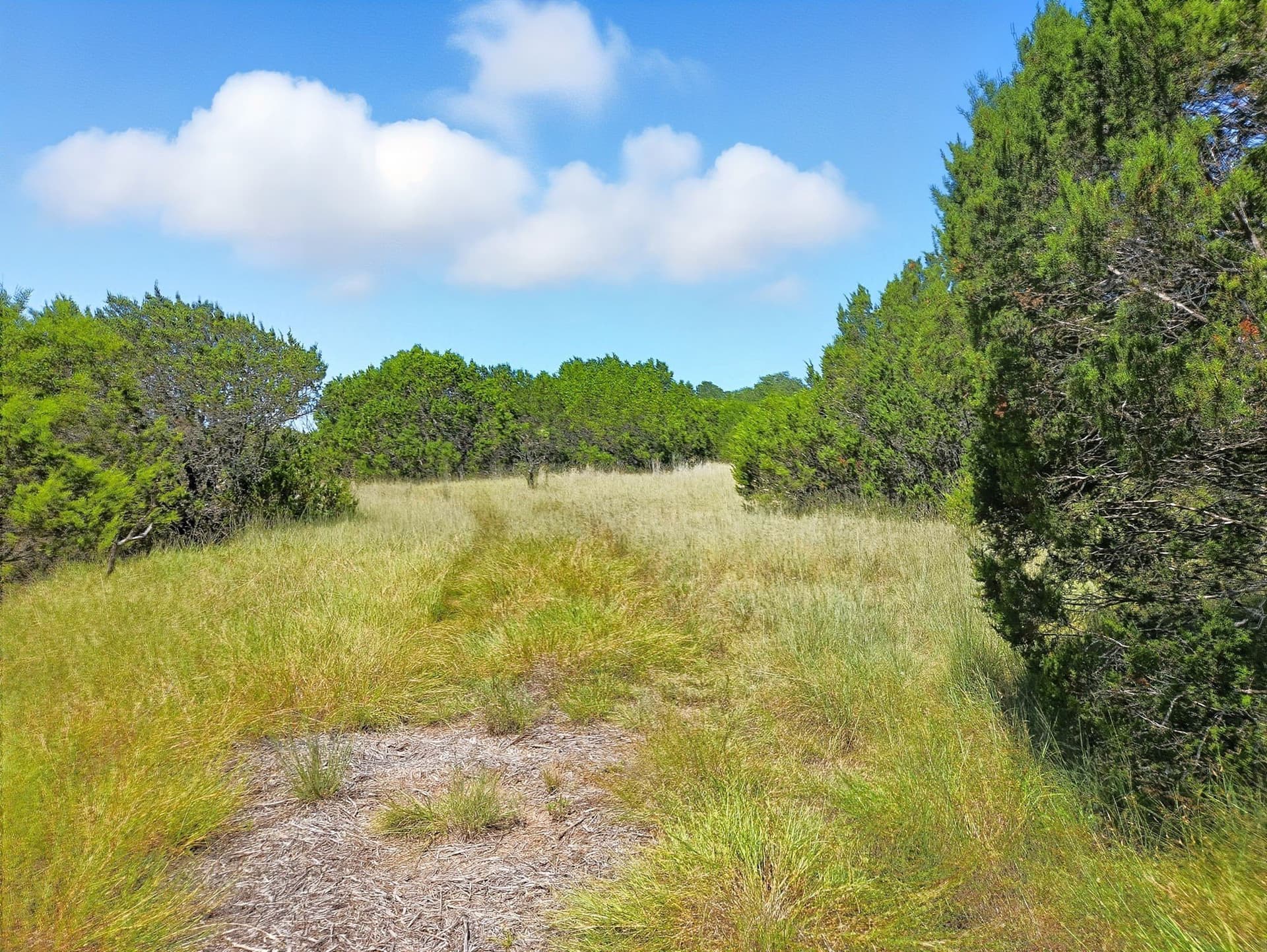 10.01 acres in Hamilton County - photo 21