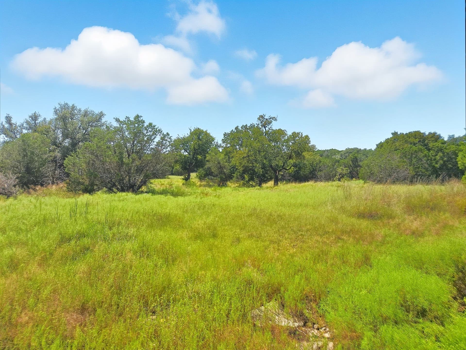 10.01 acres in Hamilton County - photo 19