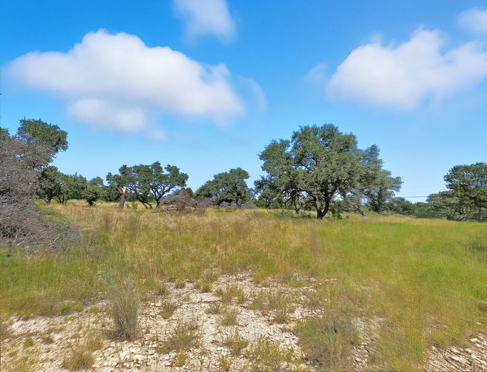 10.01 acres in Hamilton County - photo 22