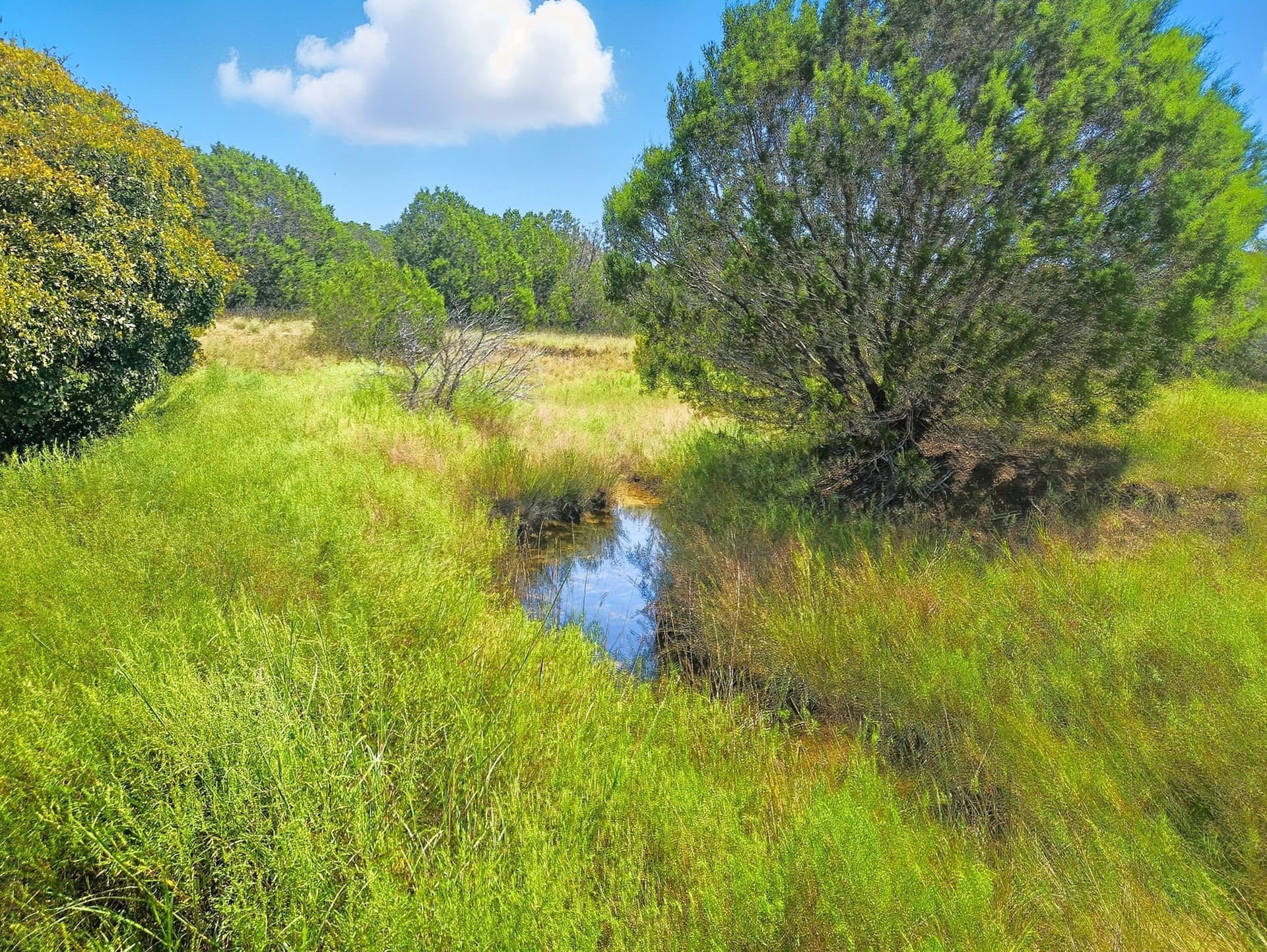 10.01 acres in Hamilton County - photo 16