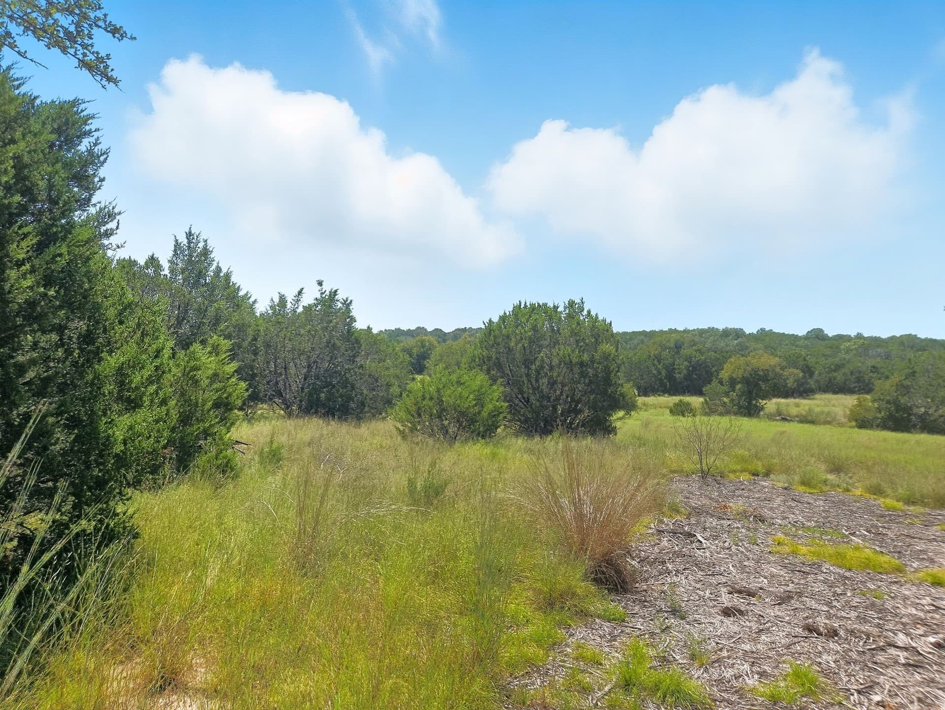 10.01 acres in Hamilton County - photo 17