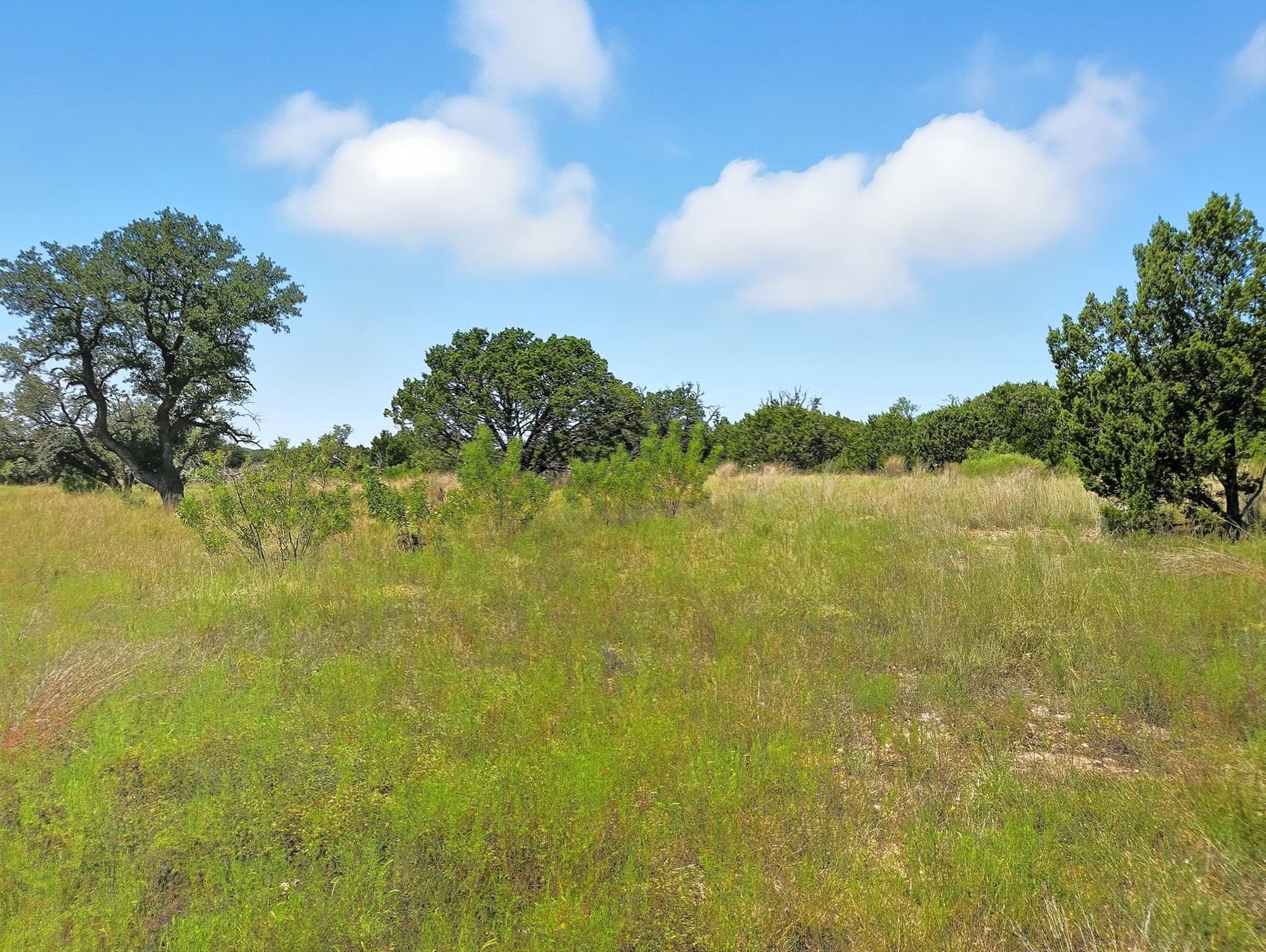 10.01 acres in Hamilton County - photo 4