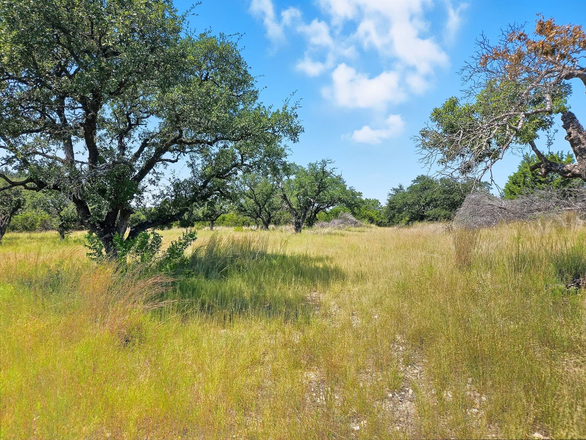 10.01 acres in Hamilton County - photo 10