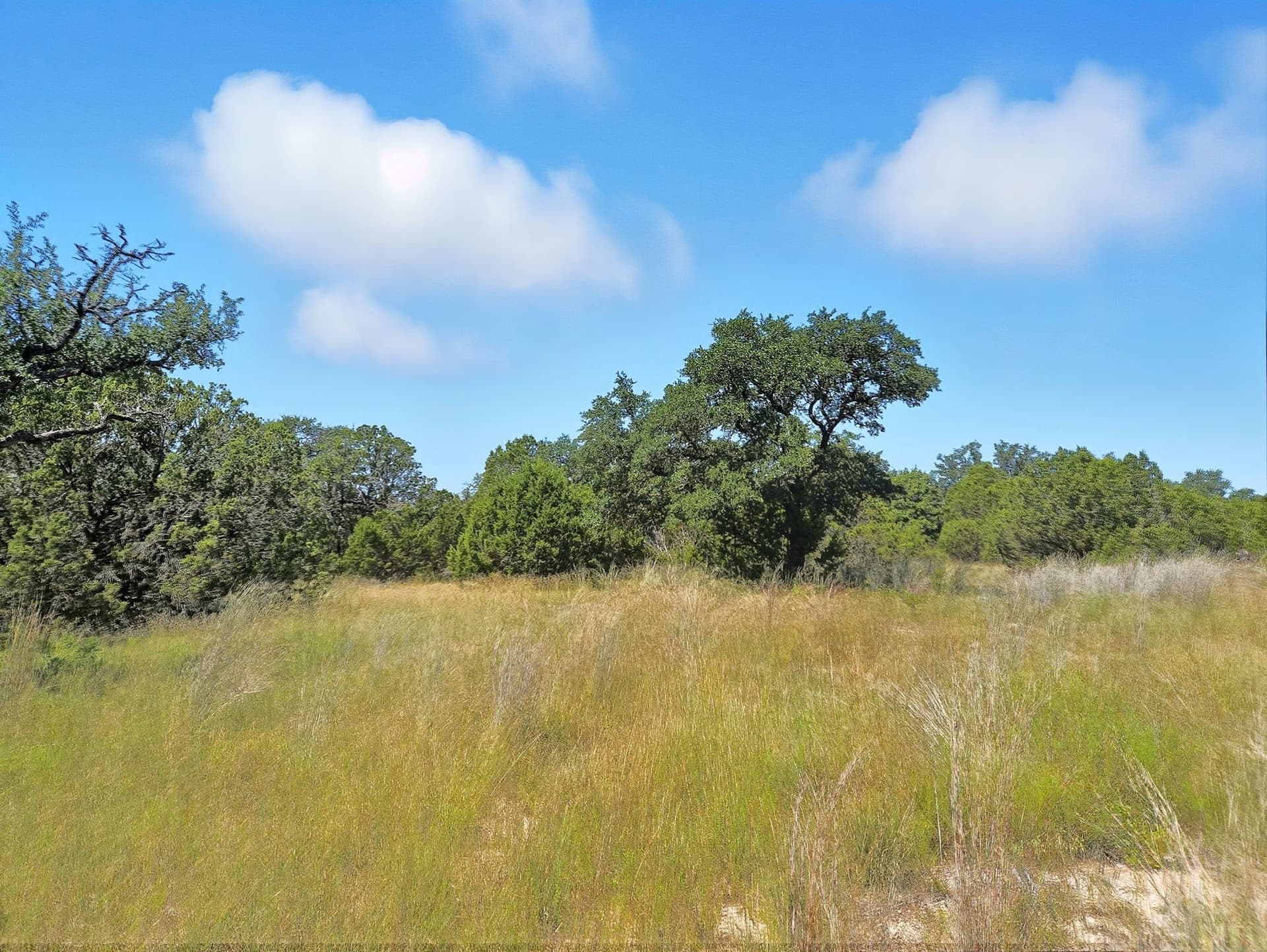 10.01 acres in Hamilton County - photo 12