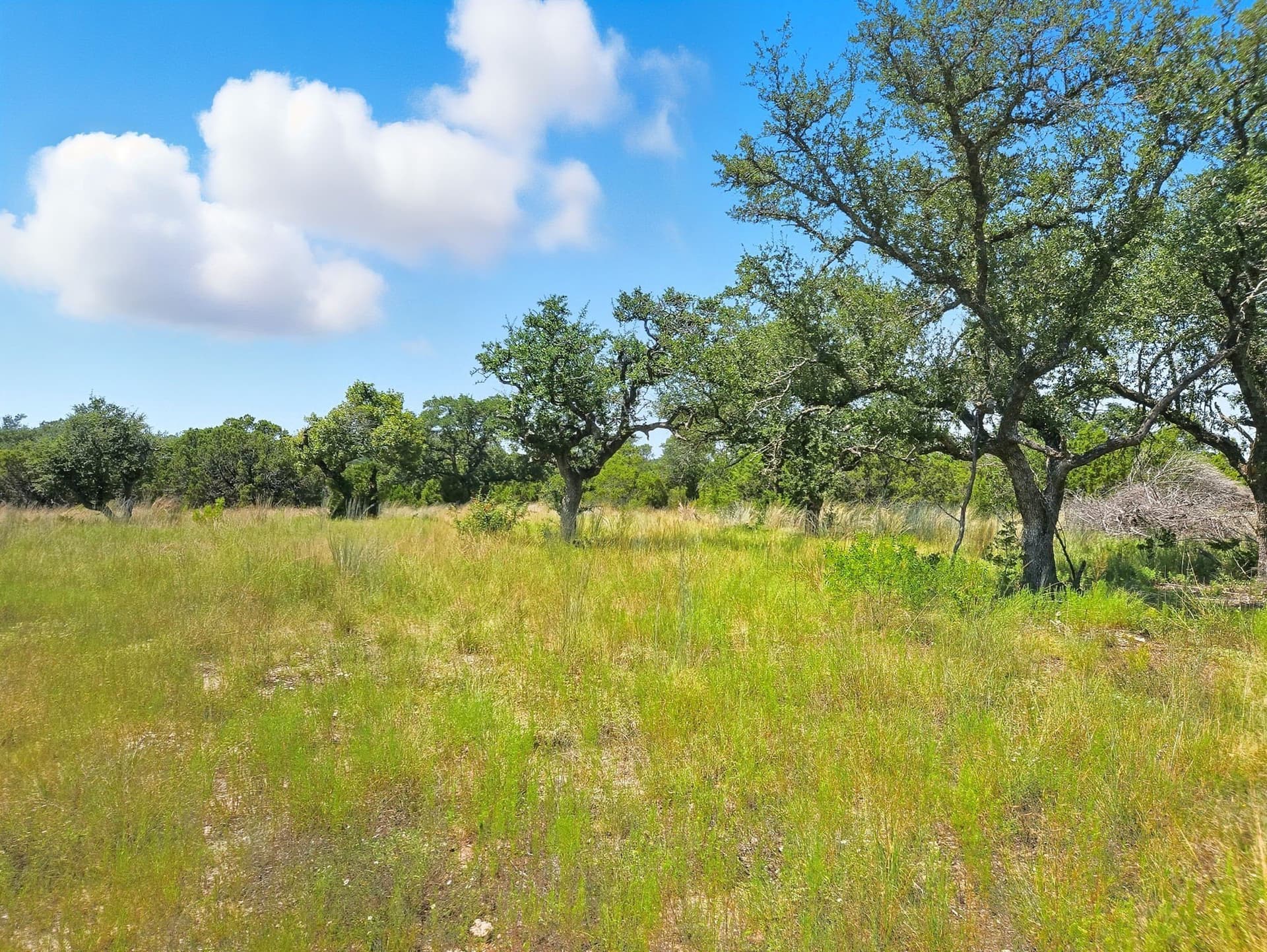 10.01 acres in Hamilton County - photo 11