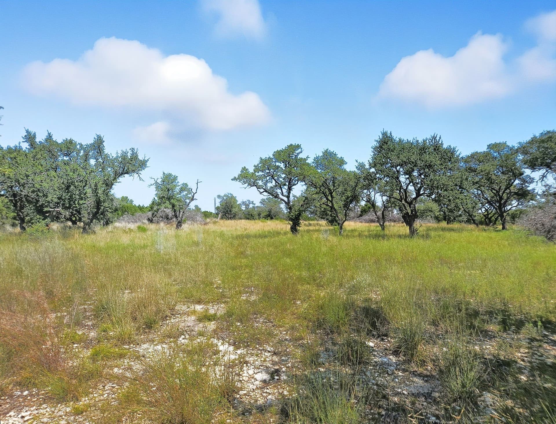 10.01 acres in Hamilton County - photo 14