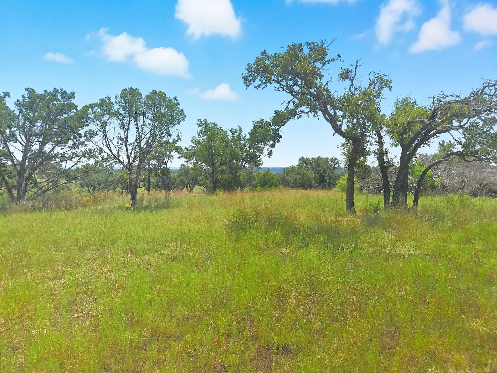 10.01 acres in Hamilton County - photo 6