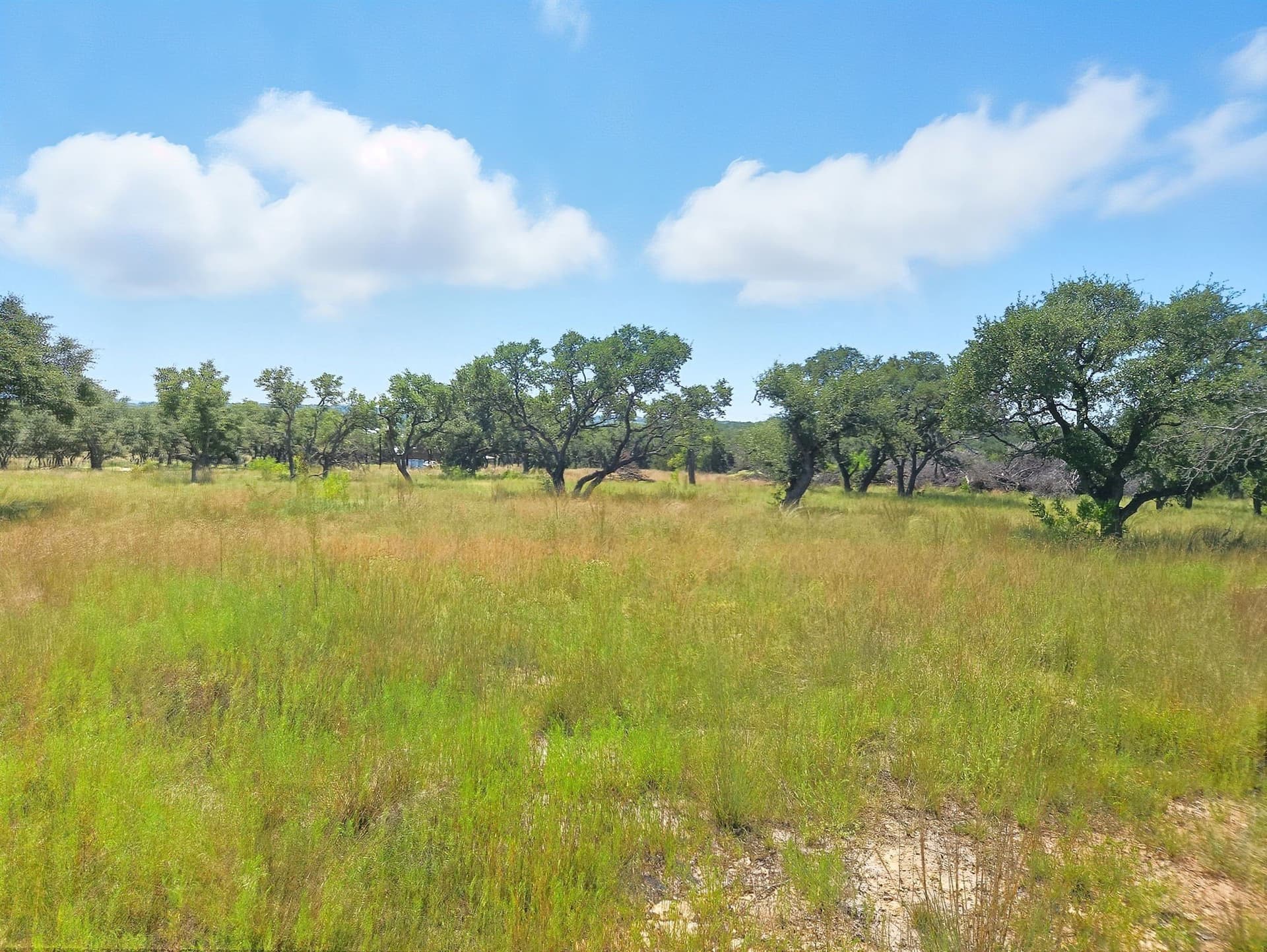 10.01 acres in Hamilton County - photo 7