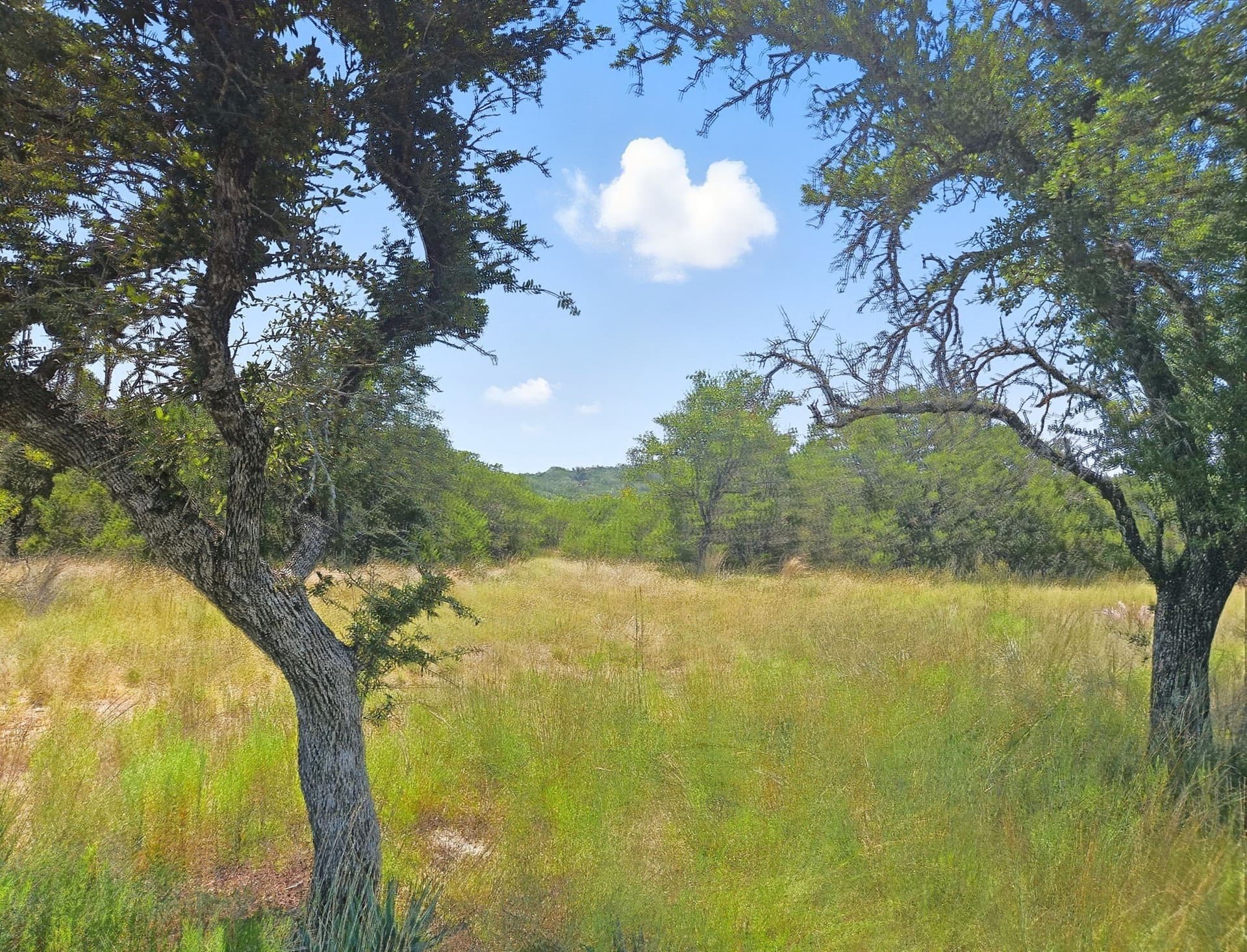 10.01 acres in Hamilton County - photo 3