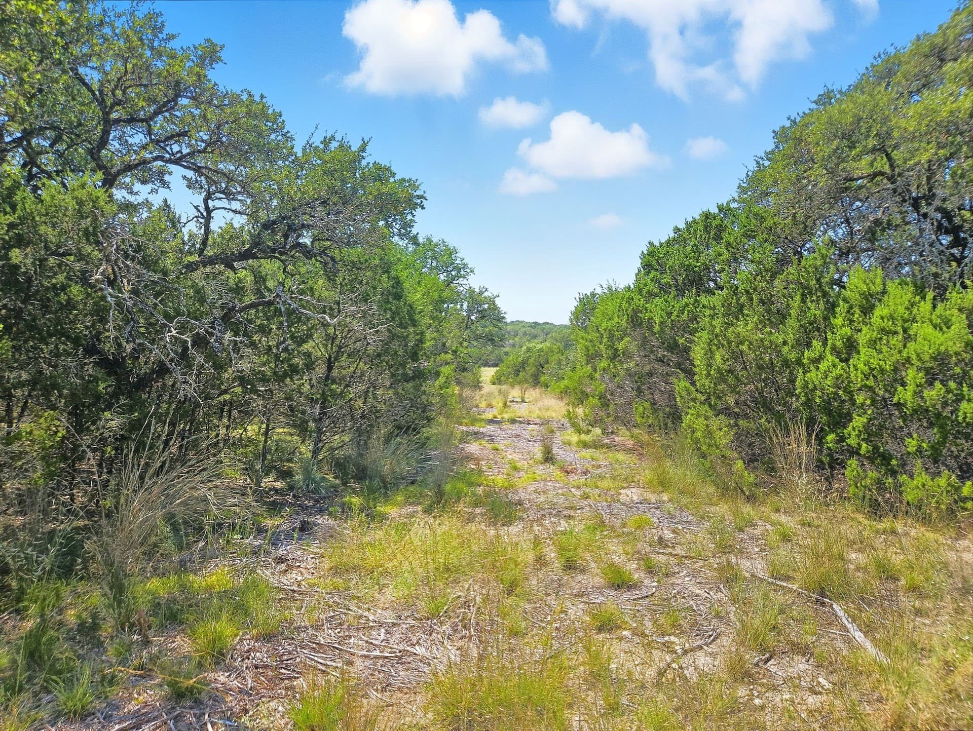 10.01 acres in Hamilton County - photo 15
