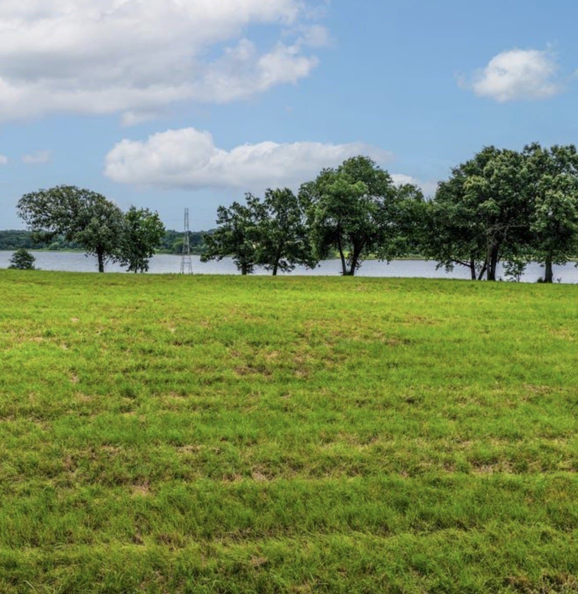 1.32 acres in Rains County - photo 23
