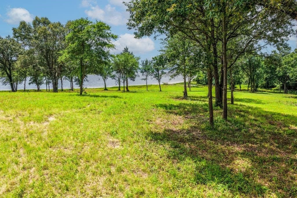 1.32 acres in Rains County - photo 14