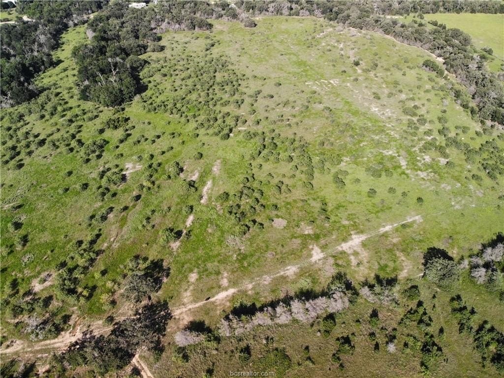 23.22 acres in Burleson County - photo 6